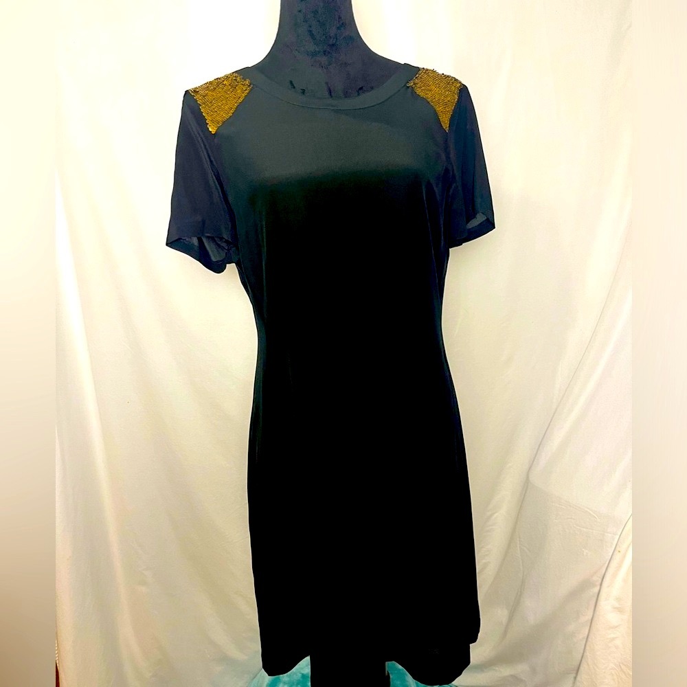 Madewell silk dress with sequins and a tie back size 6